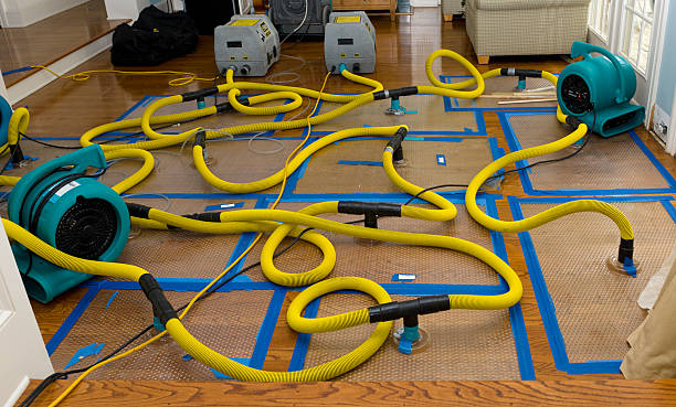 Professional Basement Flood Cleanup technician working in Amarillo, TX